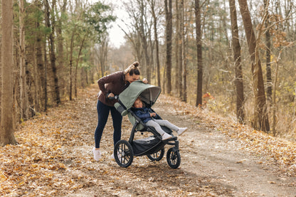 UPPAbaby Ridge Stroller