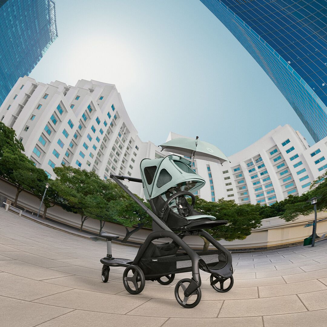 Bugaboo Dragonfly Complete Stroller