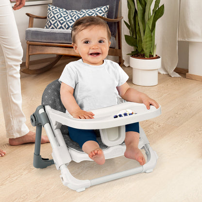 Chicco Take-A-Seat Booster Seat